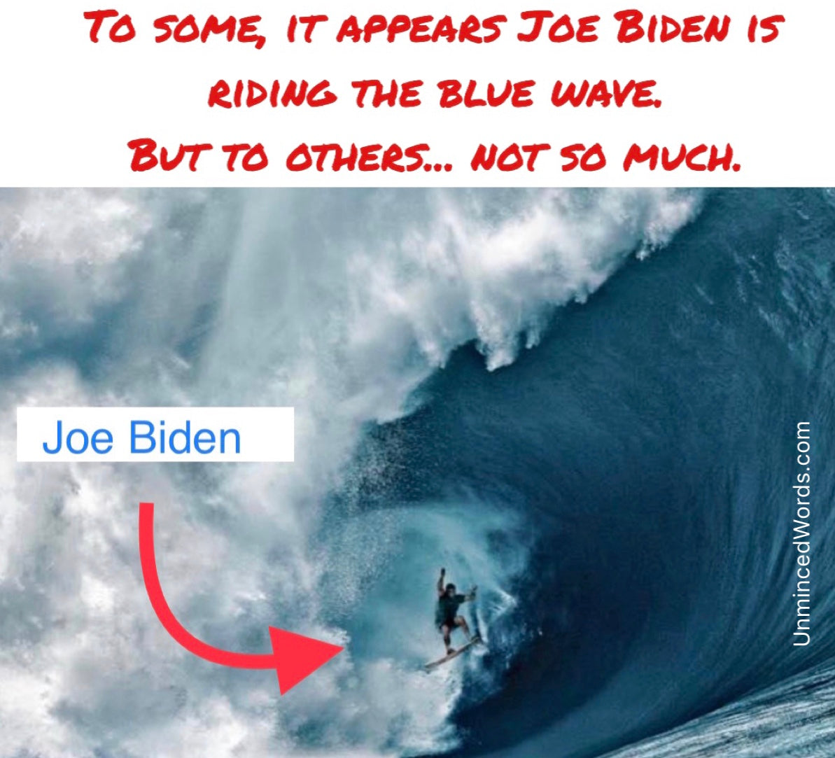 For Joe Biden surfing, it’s all about perspective.