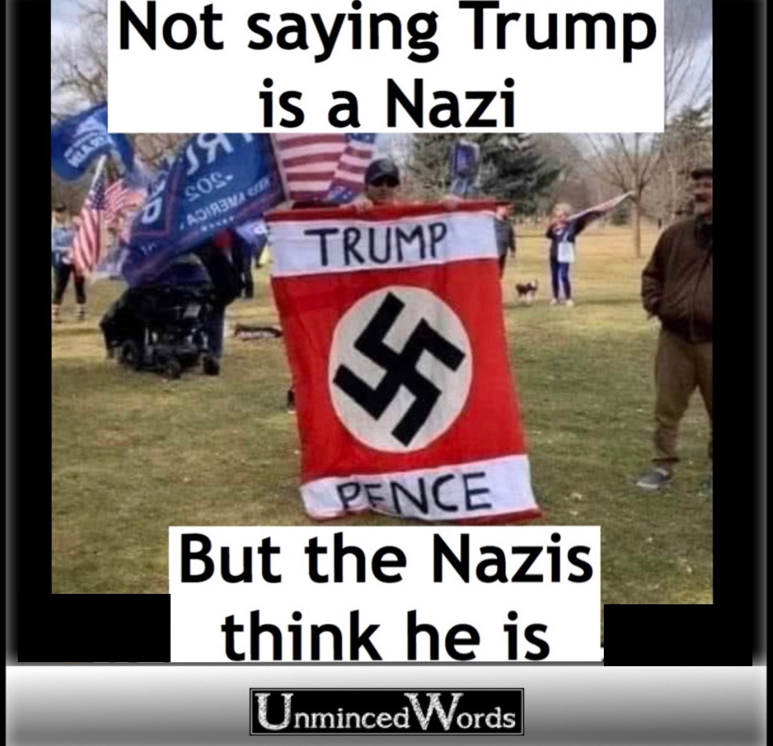 Not saying Trump is a Nazi, but the Nazis think he is.