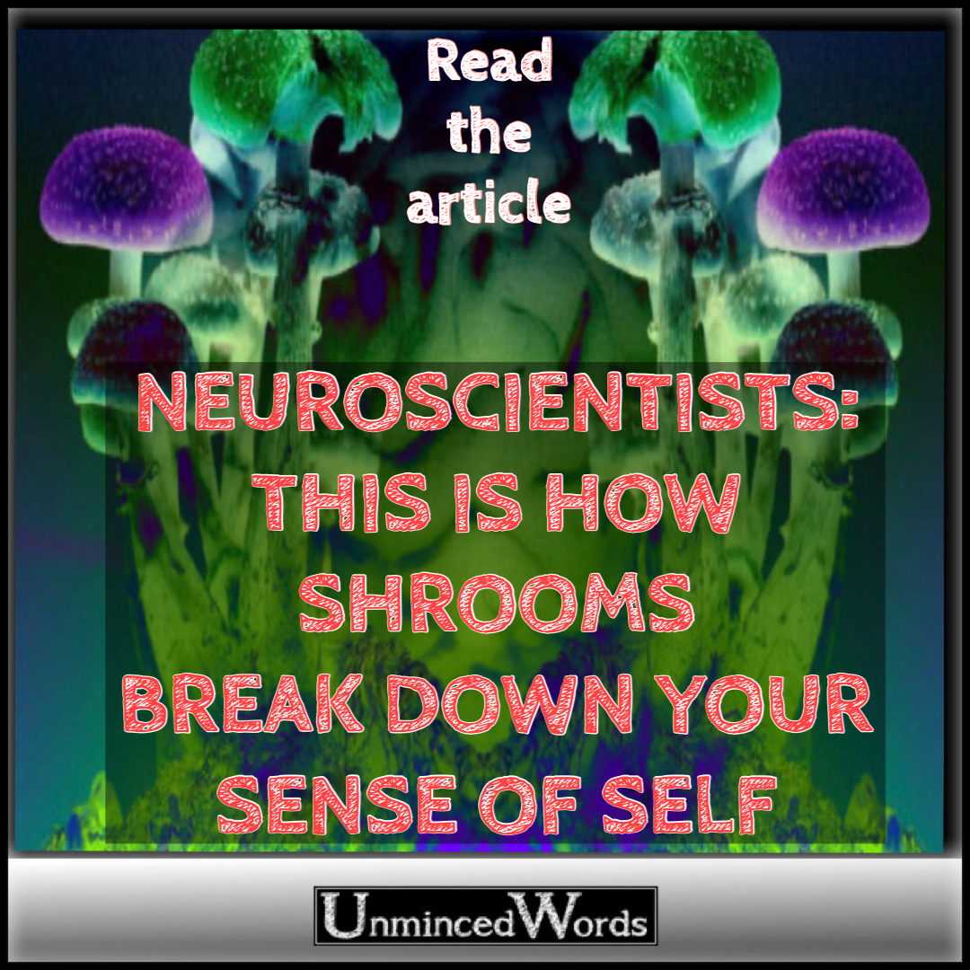 THIS IS HOW SHROOMS BREAK DOWN YOUR SENSE OF SELF