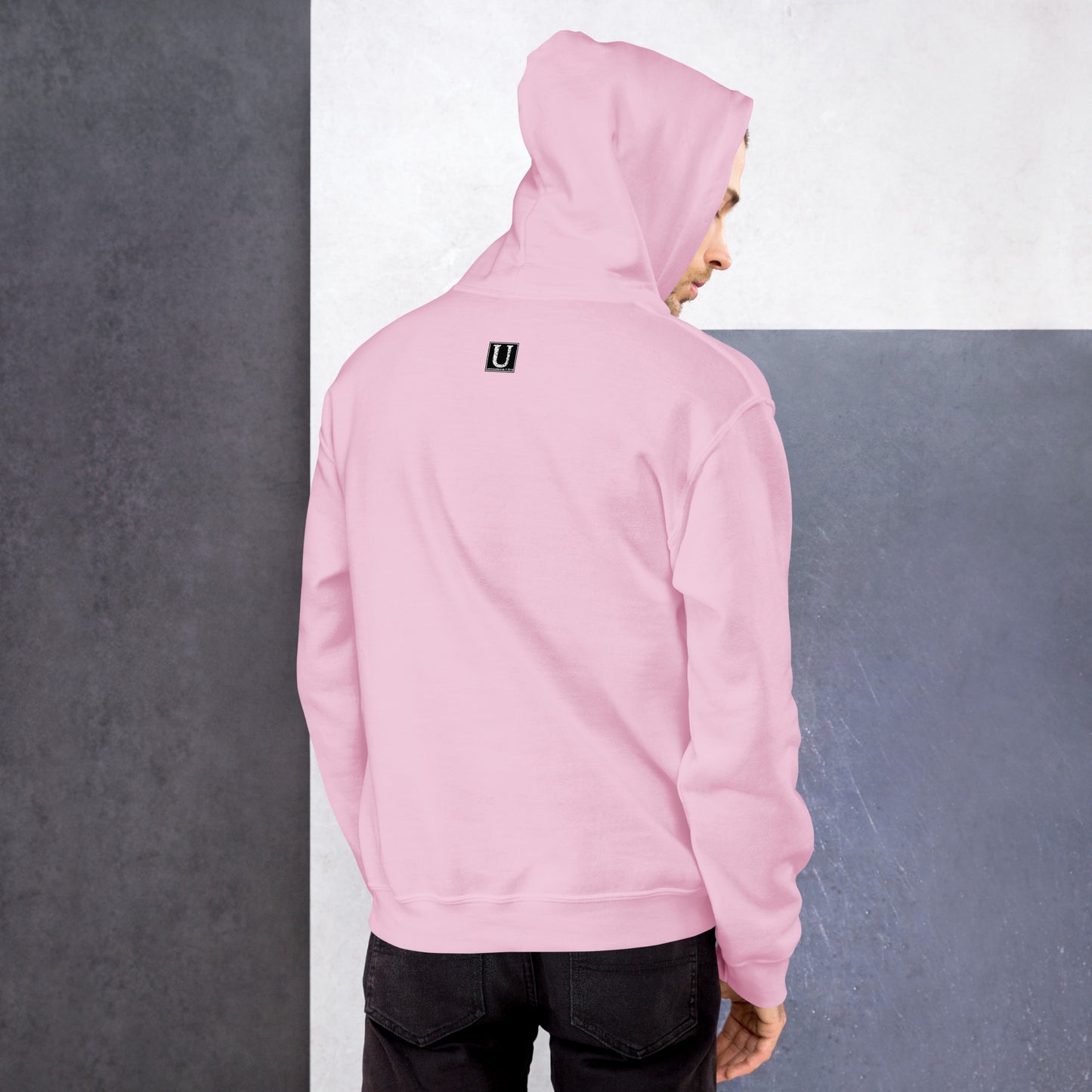 This Dude is High - Hoodie