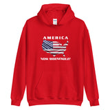 America Now Bidenesque - Hoodie