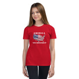 America Now Bidenesque - Youth Short Sleeve T-Shirt